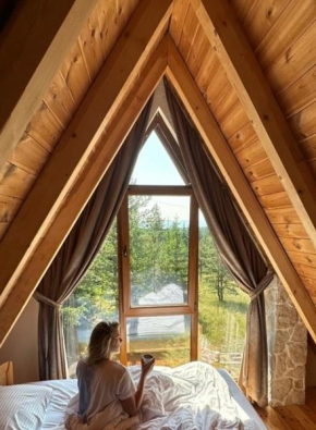 Wonderwood Board home Žabljak
